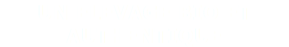 UN ELEVAGE BIO ET AUTHENTIQUE 